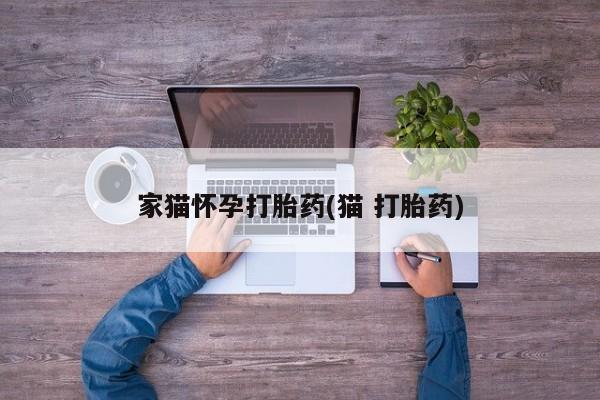 米非司酮购买渠道微信家猫怀孕打胎药(猫 打胎药)