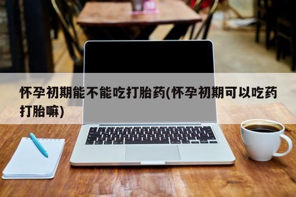 米非司酮购买渠道微信怀孕初期能不能吃打胎药(怀孕初期可以吃药打胎嘛)
